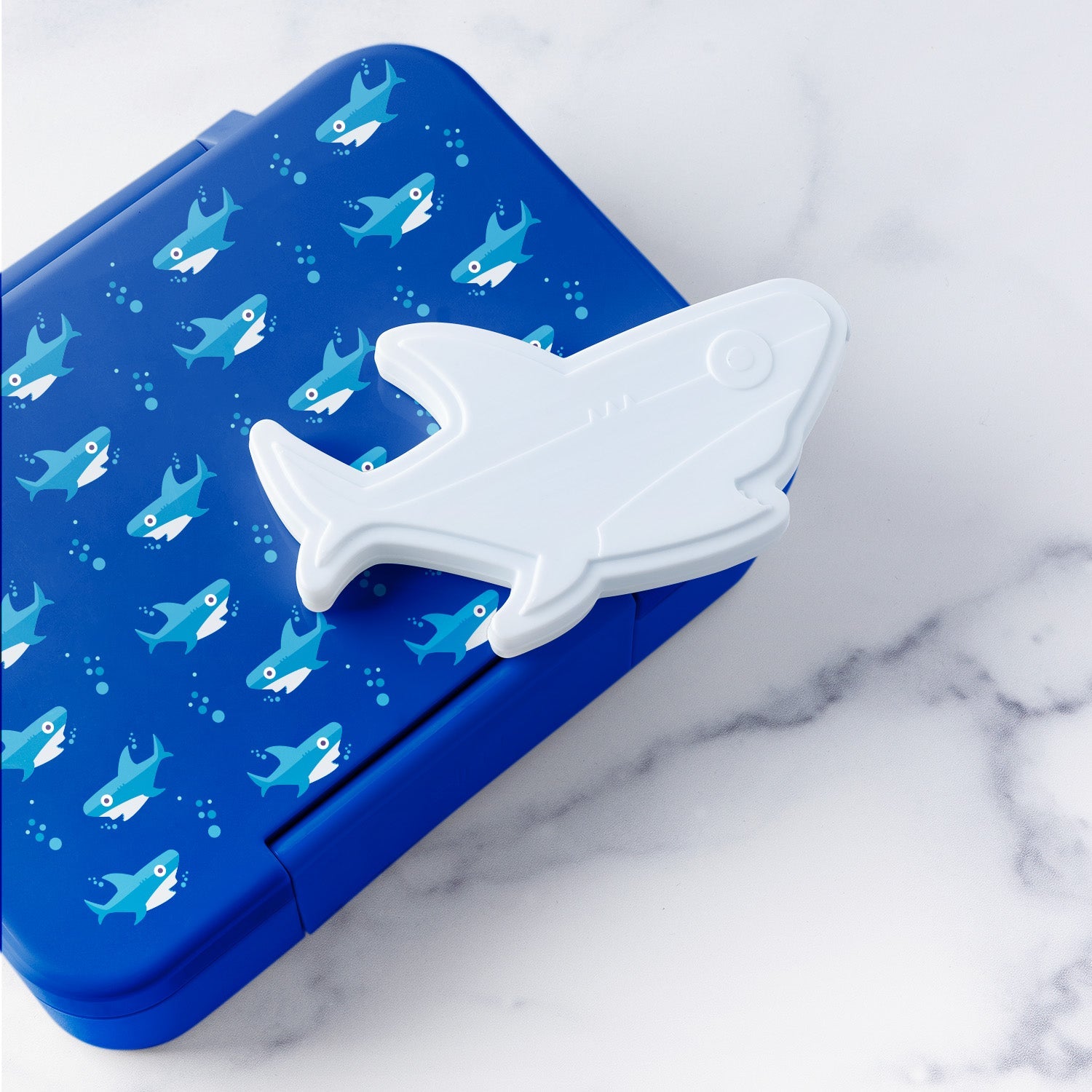 Small children's lunch container with shark design in royal blue and white with turquoise accents