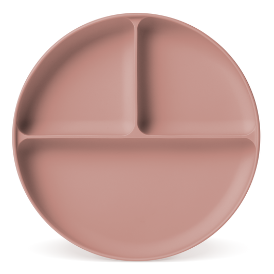 Soft dusty rose-pink ceramic plate with muted warm undertones and subtle gradient shading creating dimensional depth across the surface.